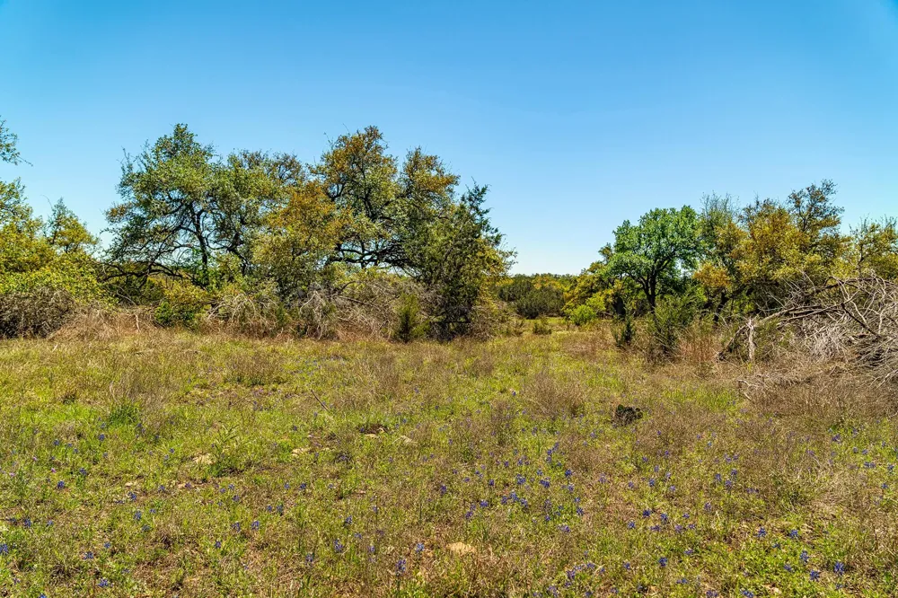 620 Whiskey Trail Blanco, TX 78606