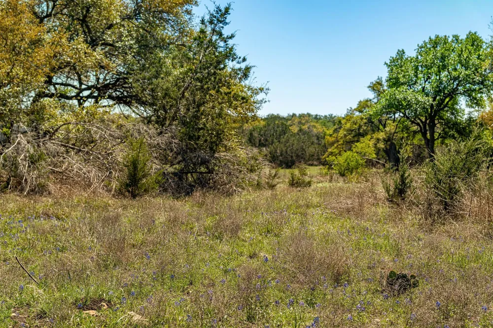 620 Whiskey Trail Blanco, TX 78606