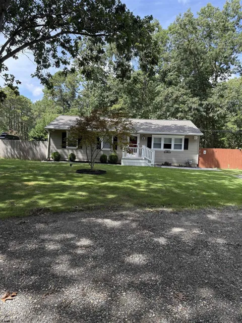 259 Pine