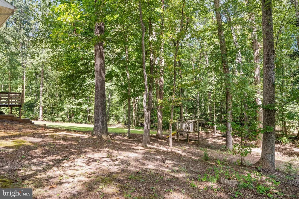 14377 FARMER DRIVE Woodford, VA 22580