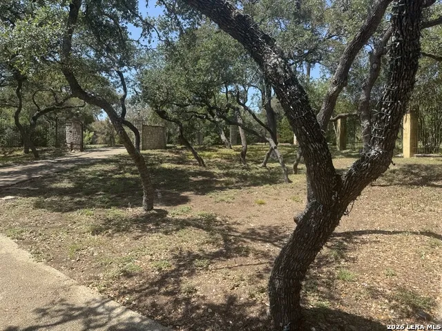 14016 MINT TRAIL DR Hill Country Village, TX 78232