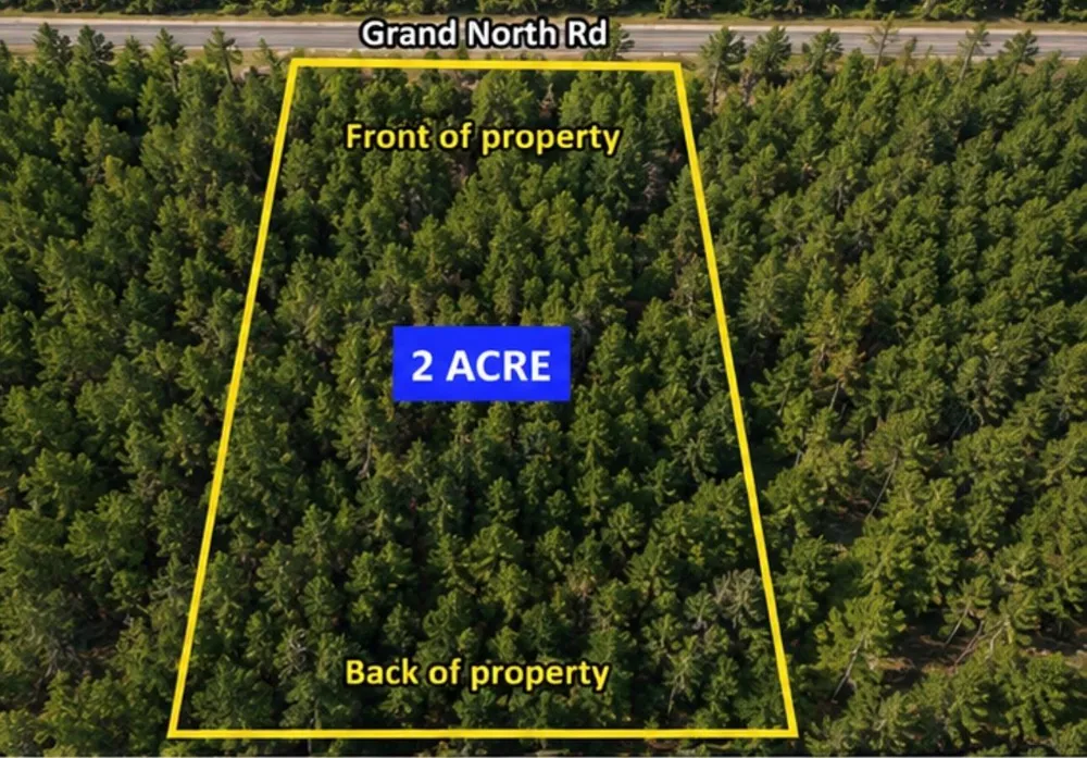 11818 Grand North Road Willis, TX 77378