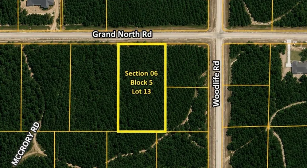 11818 Grand North Road Willis, TX 77378