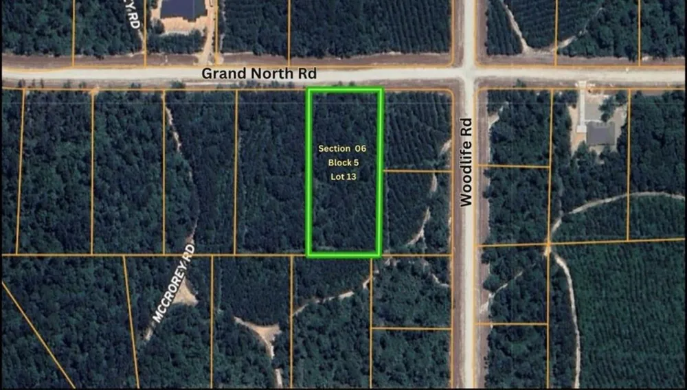 11818 Grand North Road Willis, TX 77378