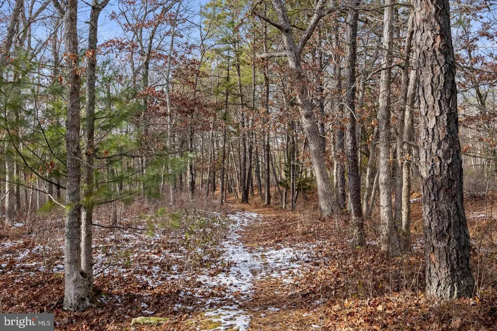2 ACORN ROAD Manahawkin, NJ 08050