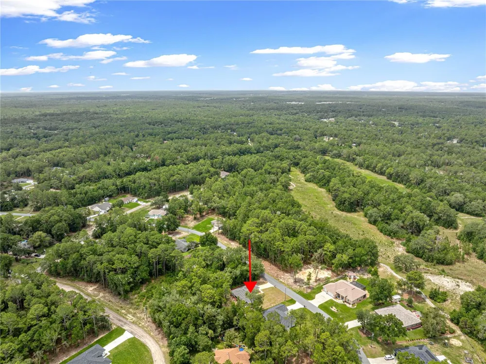 10065 LANGDON ROAD Citrus Springs, FL 34434