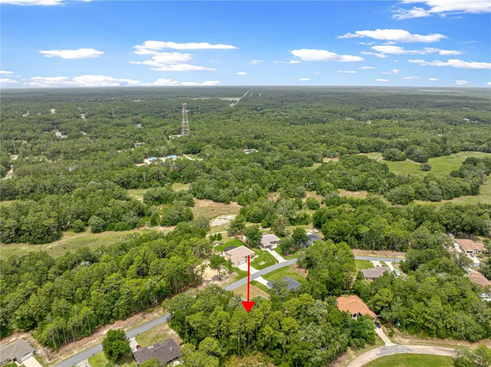 10065 LANGDON ROAD Citrus Springs, FL 34434