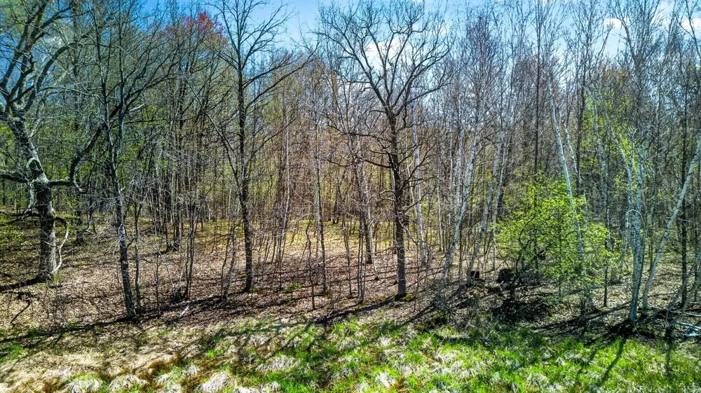 Parcel 3 Grand Avenue Harris, MN 55032