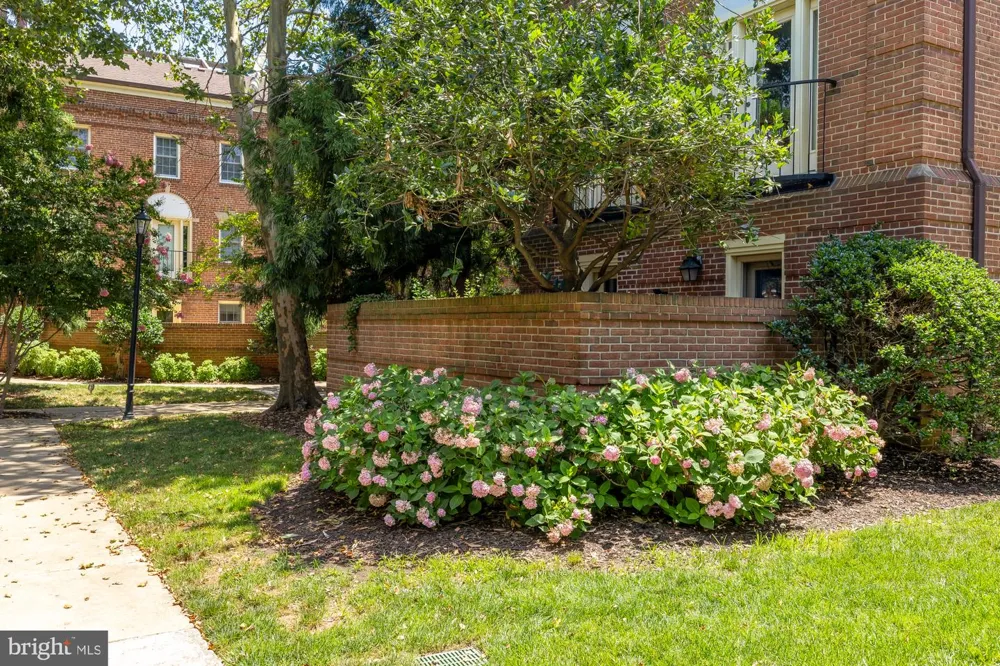1115 PITT STREET #2B Alexandria, VA 22314