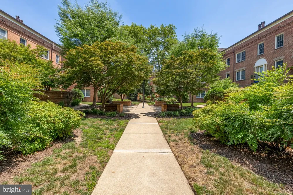 1115 PITT STREET #2B Alexandria, VA 22314