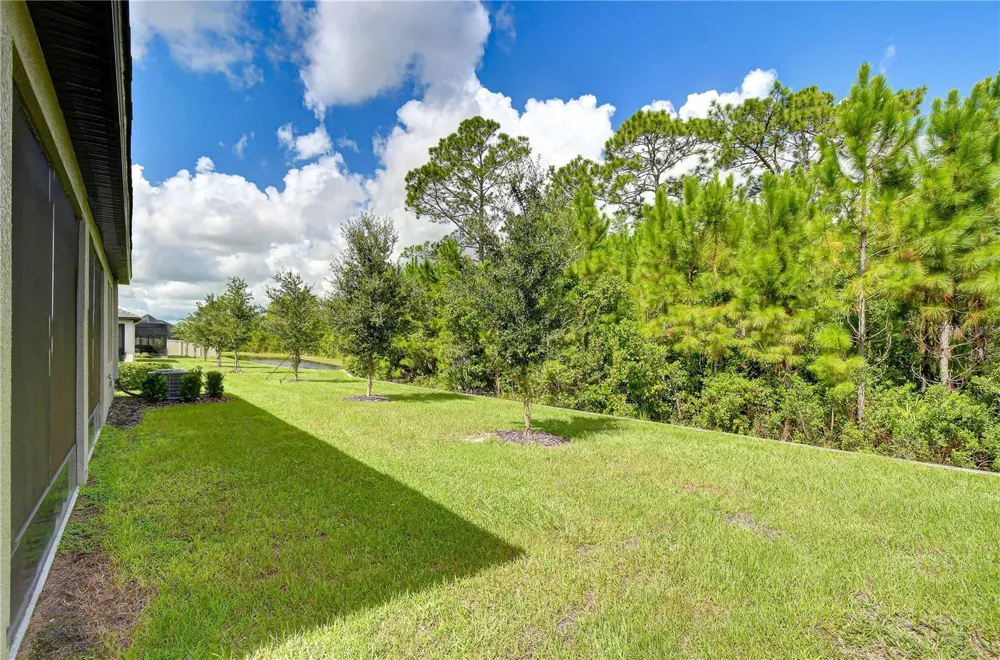 10577 BANYAN BREEZE BOULEVARD Land O Lakes, FL 34638