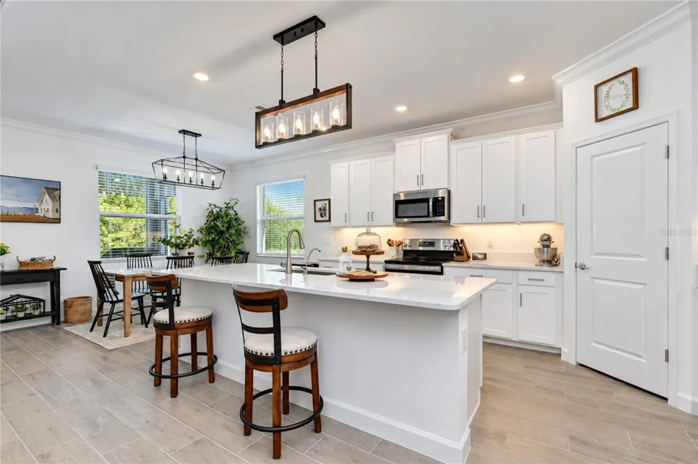 10577 BANYAN BREEZE BOULEVARD Land O Lakes, FL 34638