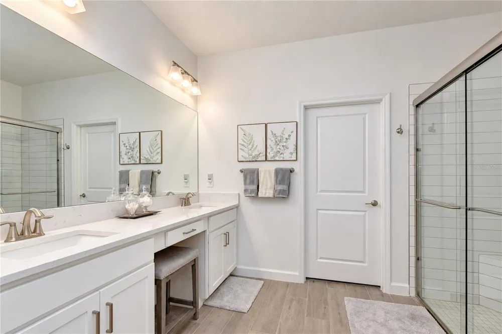 10577 BANYAN BREEZE BOULEVARD Land O Lakes, FL 34638