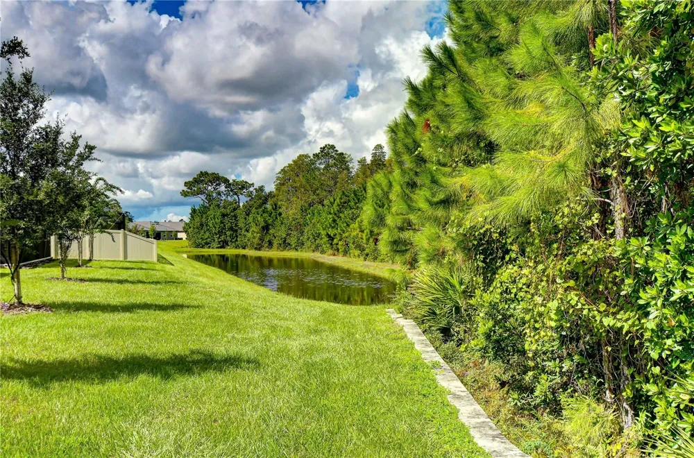 10577 BANYAN BREEZE BOULEVARD Land O Lakes, FL 34638