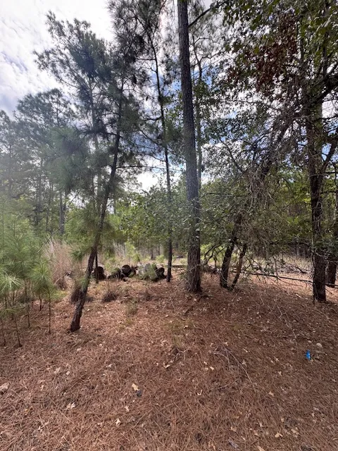 Otto Lane & Red Fox Road La Grange, TX 78945