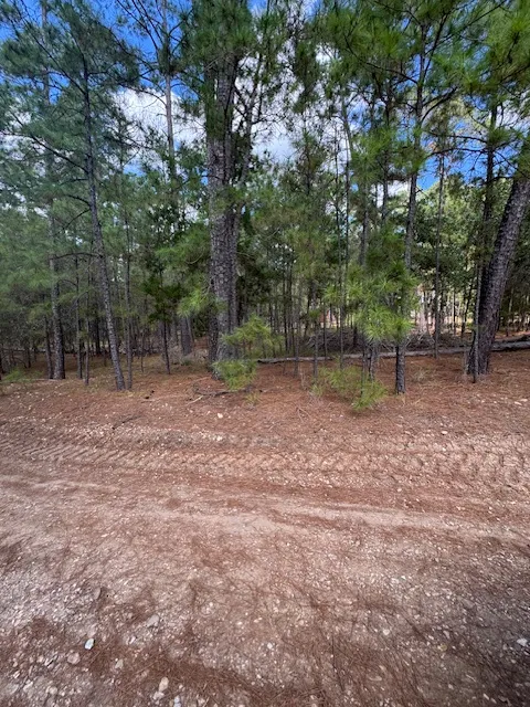 Otto Lane & Red Fox Road La Grange, TX 78945