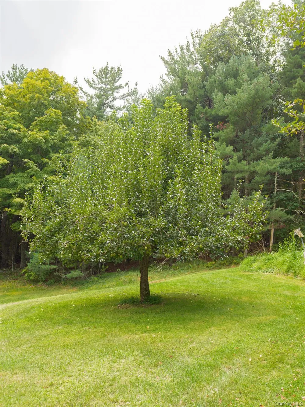 331 Mountain View Road #325 Rhinebeck, NY 12572