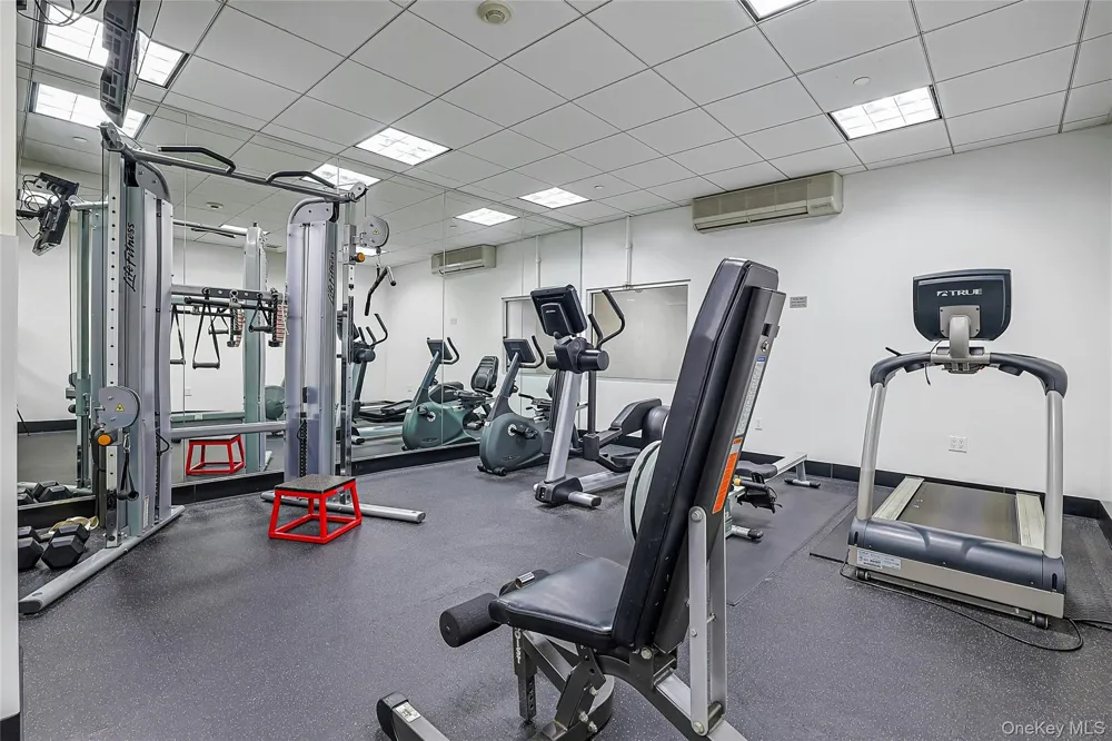 25 Leroy Place #PH1 New Rochelle, NY 10805