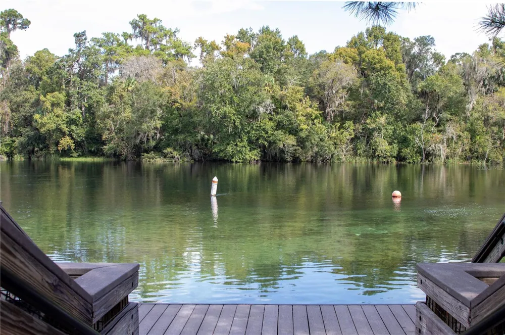10058 SW 192ND CIRCLE Dunnellon, FL 34432