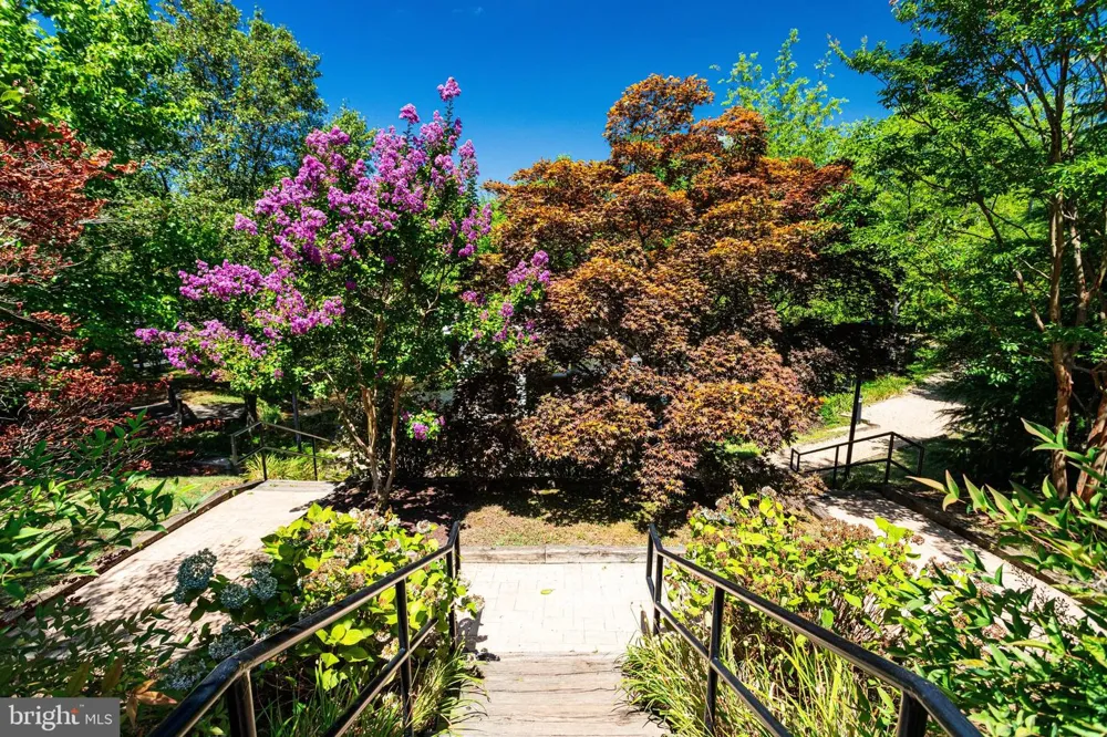 8380 GREENSBORO DRIVE #719 Mclean, VA 22102