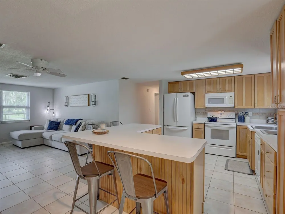 13102 GIBSON LANE Odessa, FL 33556