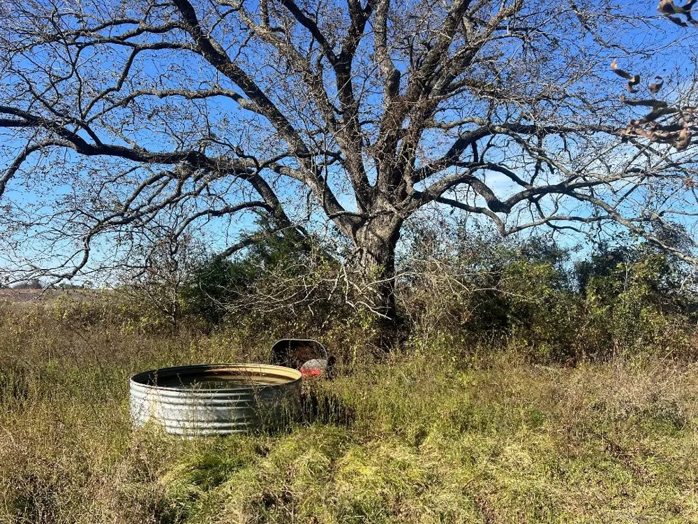 LCR 454 Groesbeck, TX 76642