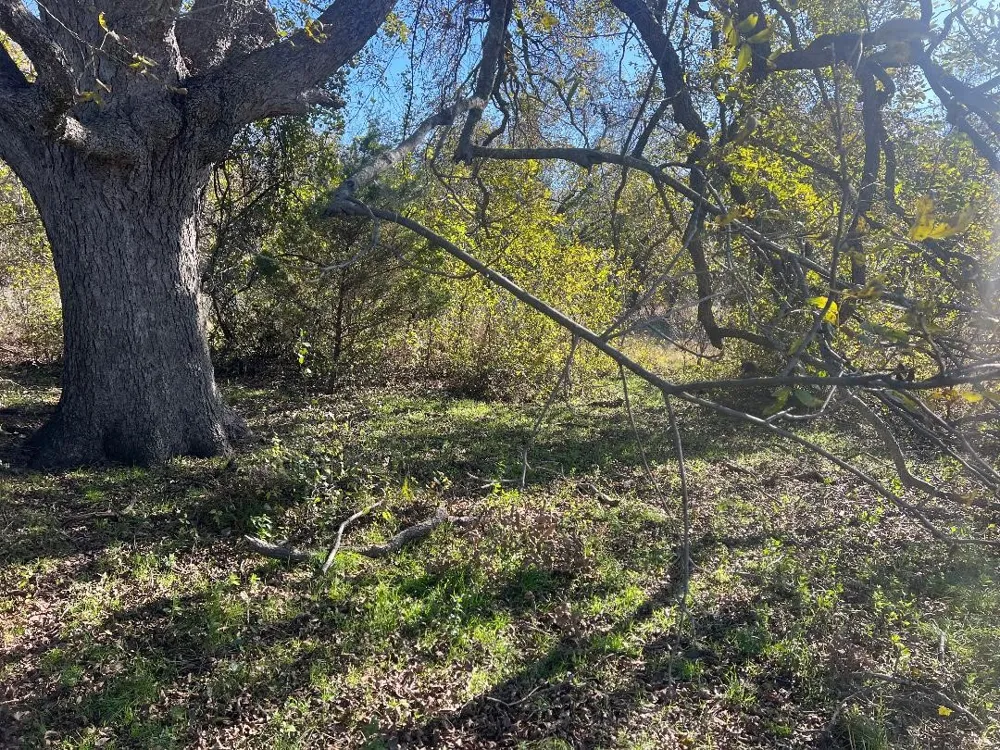 LCR 454 Groesbeck, TX 76642