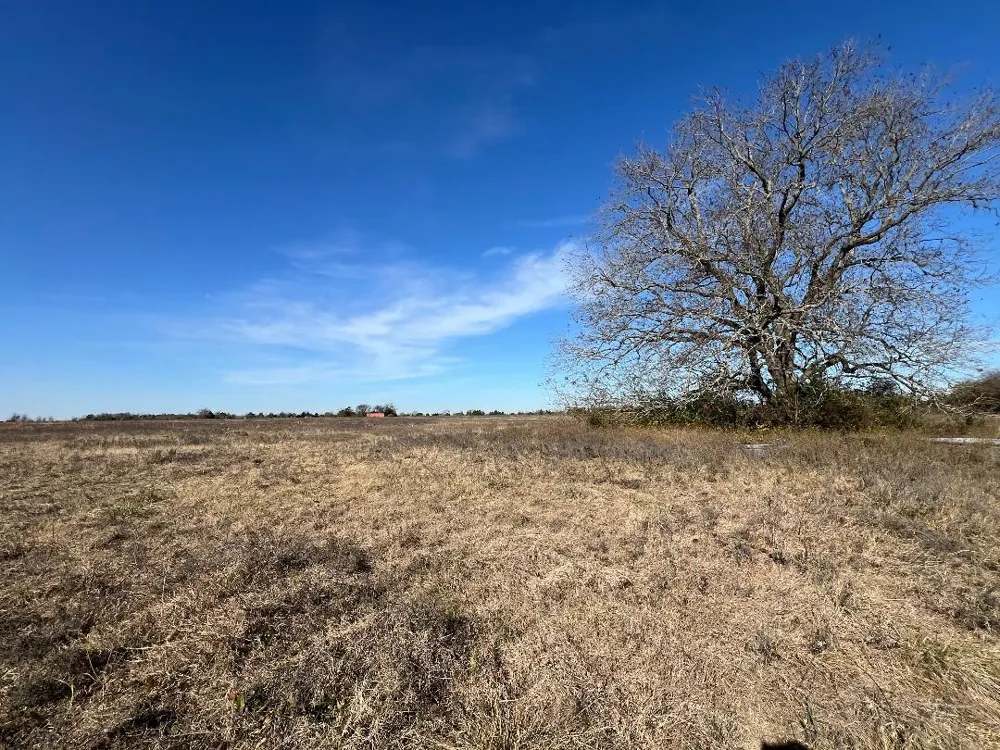 LCR 454 Groesbeck, TX 76642