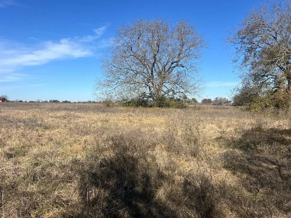 LCR 454 Groesbeck, TX 76642