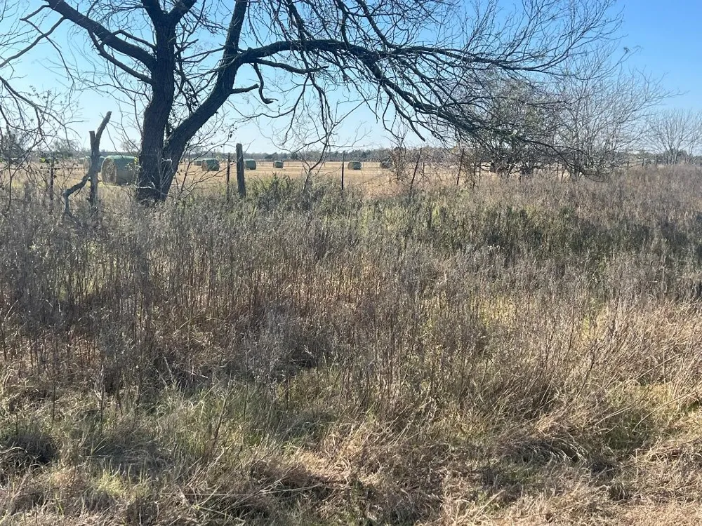 LCR 454 Groesbeck, TX 76642