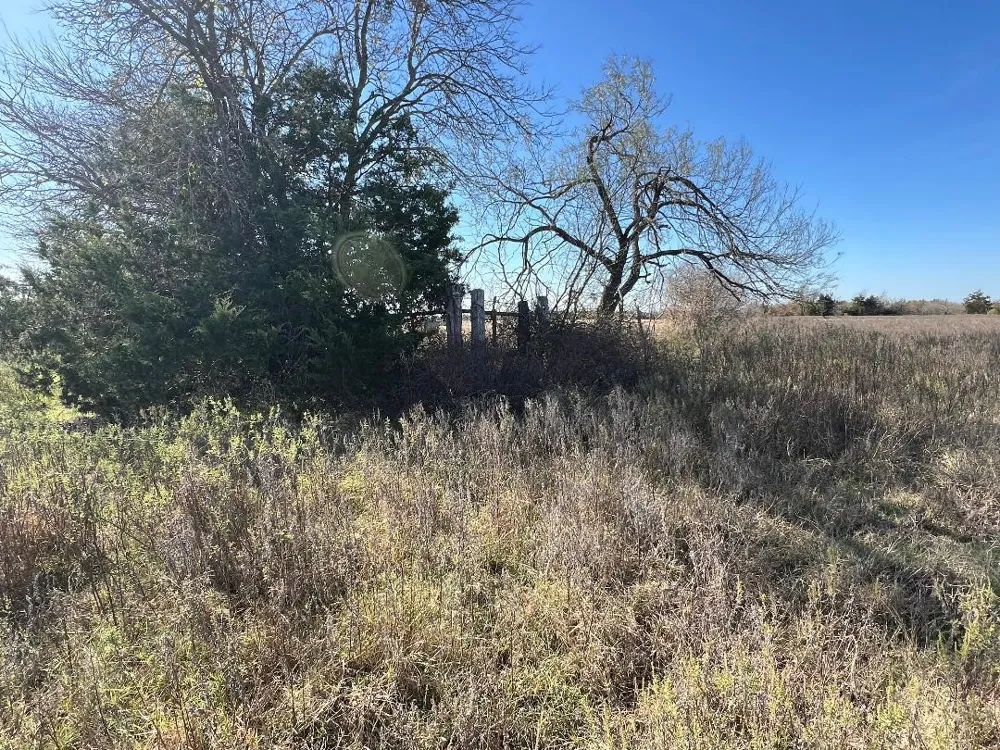 LCR 454 Groesbeck, TX 76642