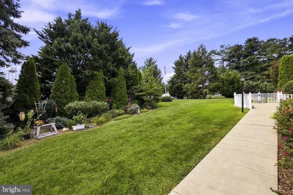150 COLLINS AVENUE Luray, VA 22835