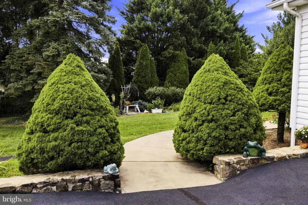 150 COLLINS AVENUE Luray, VA 22835