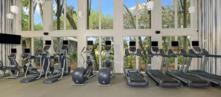 5730 SKYTOP LANE Lithia, FL 33547