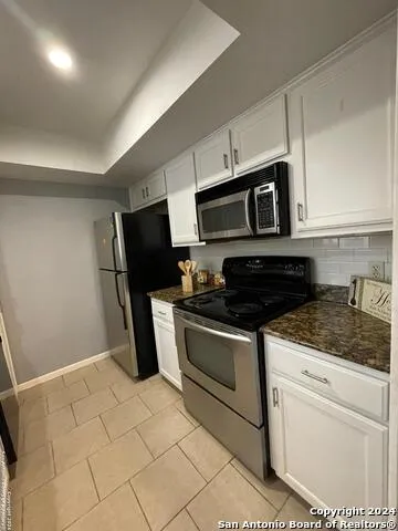 11843 BRAESVIEW Unit 2007 San Antonio, TX 78213