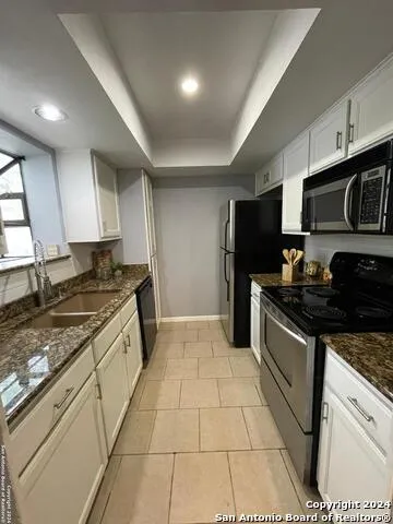 11843 BRAESVIEW Unit 2007 San Antonio, TX 78213