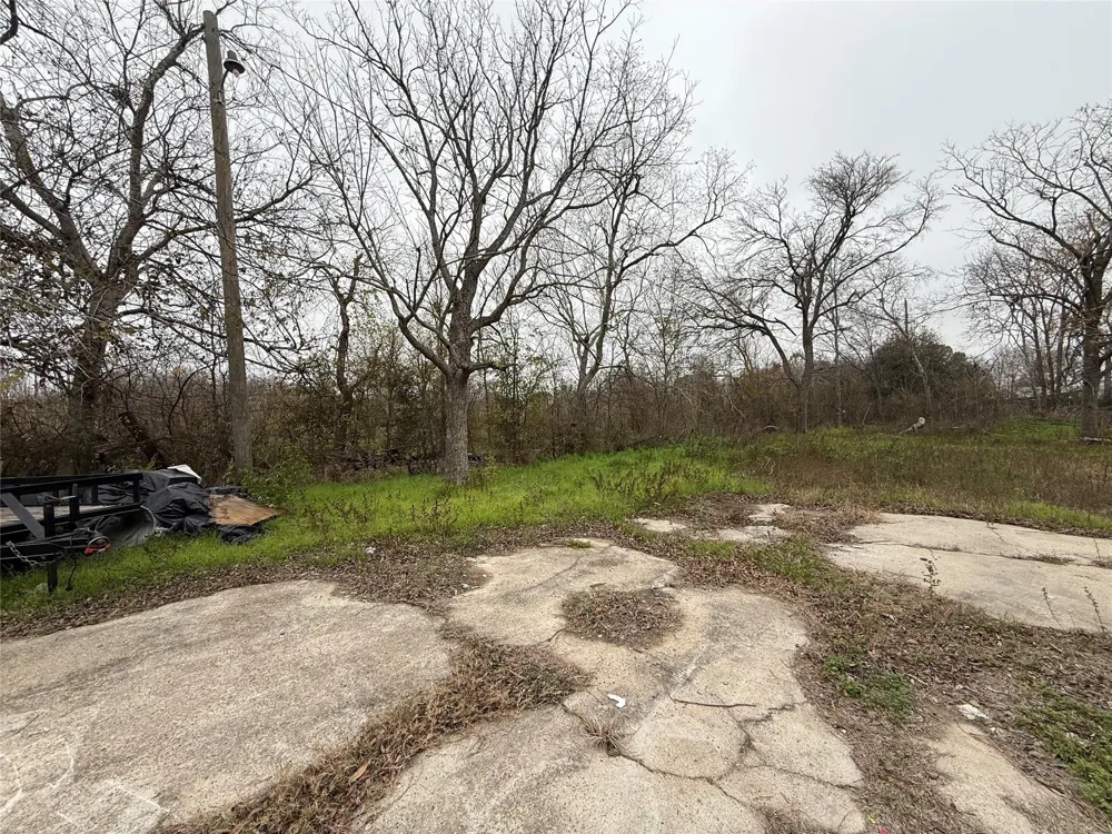 509 Solomon Brookshire, TX 77423