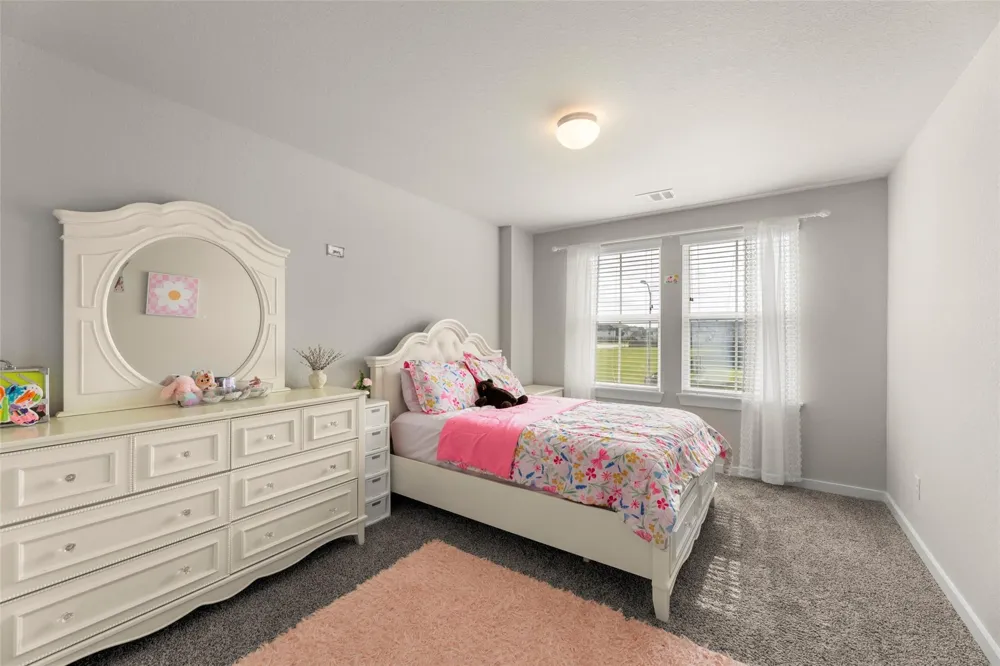 2927 Neem Tree Lane Katy, TX 77493