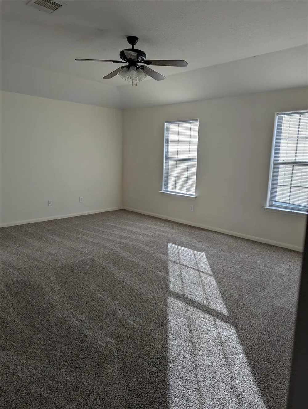 3919 Hollow Cove Lane Richmond, TX 77469
