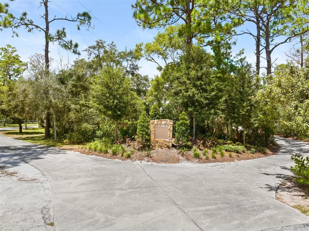 12348 TALPA STREET Spring Hill, FL 34608