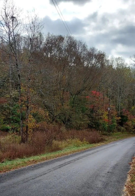 0 Carpenter Rd Dellrose, TN 38453
