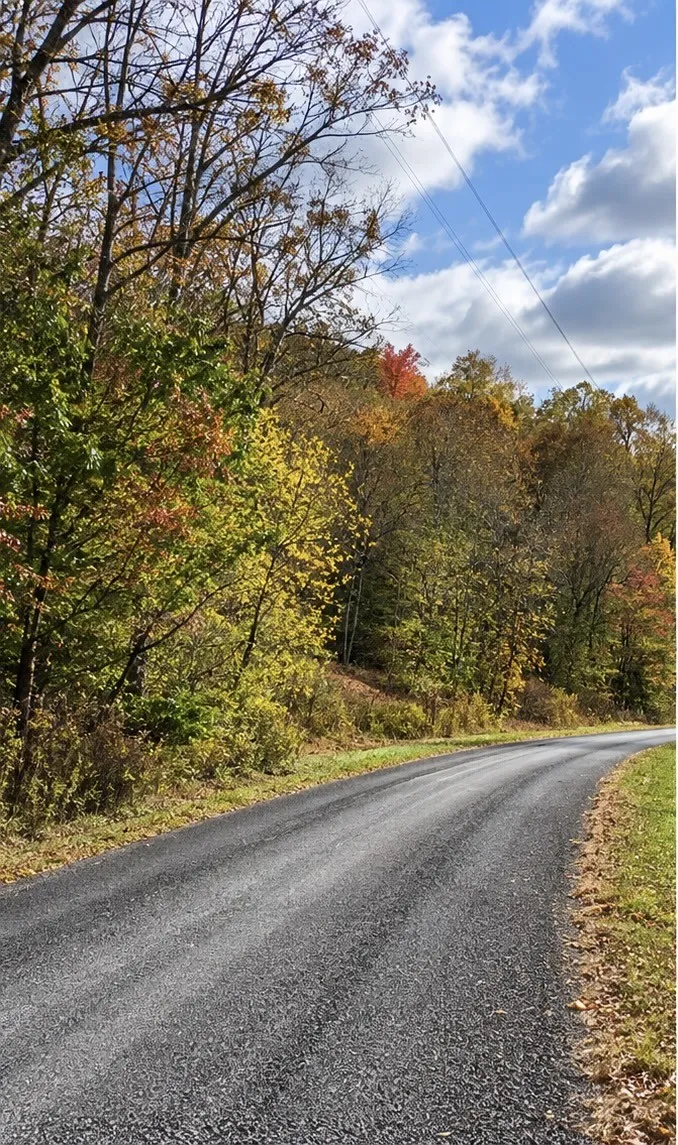 0 Carpenter Rd Dellrose, TN 38453