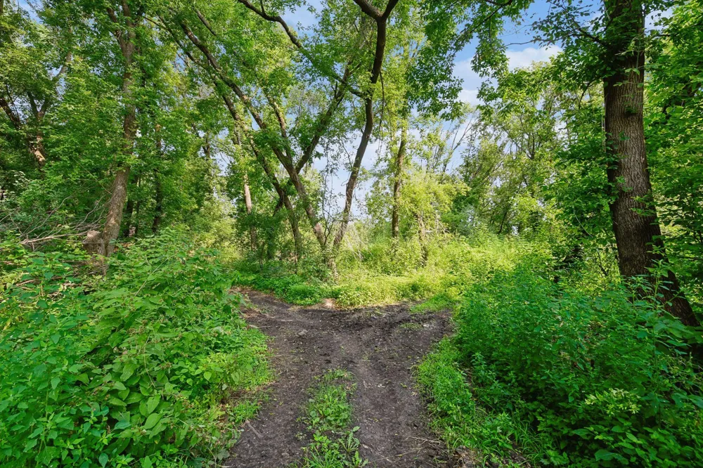510 Jacob Street Hamburg, MN 55339