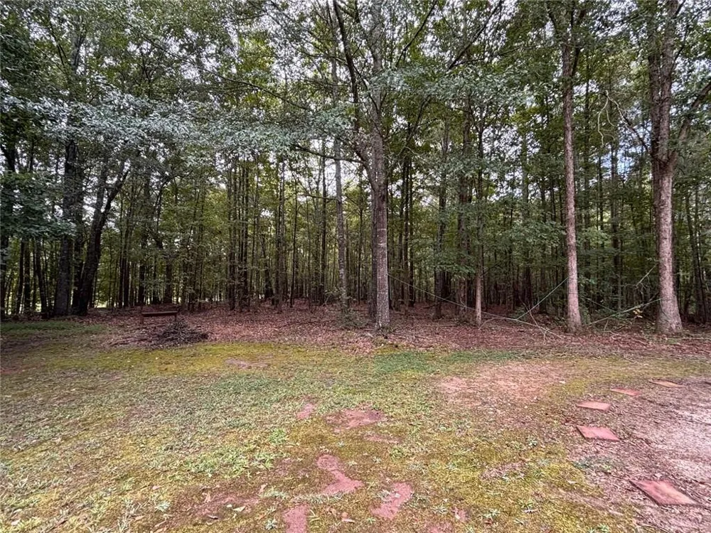 10992 Twelve Oaks Court Hampton, GA 30228