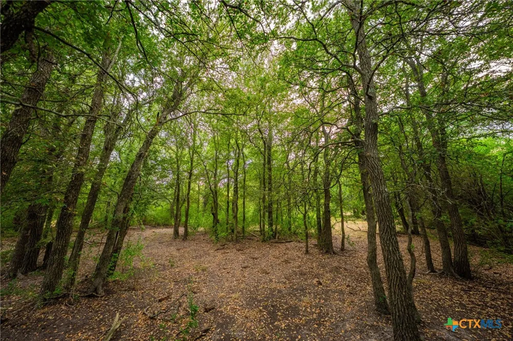 777 County Road 206 Cameron, TX 76520