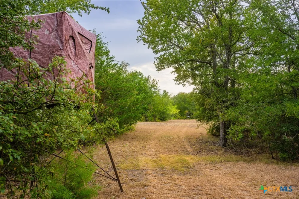 777 County Road 206 Cameron, TX 76520