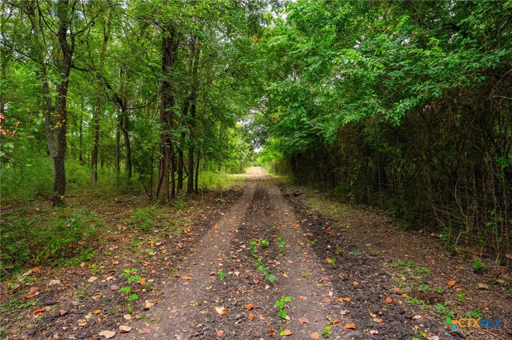 777 County Road 206 Cameron, TX 76520