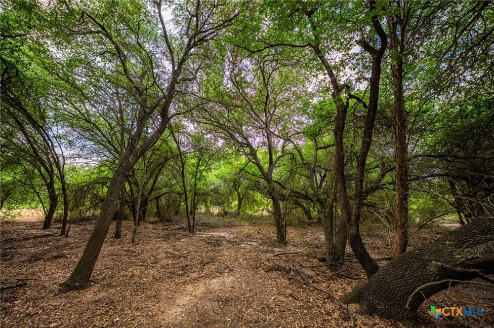 777 County Road 206 Cameron, TX 76520