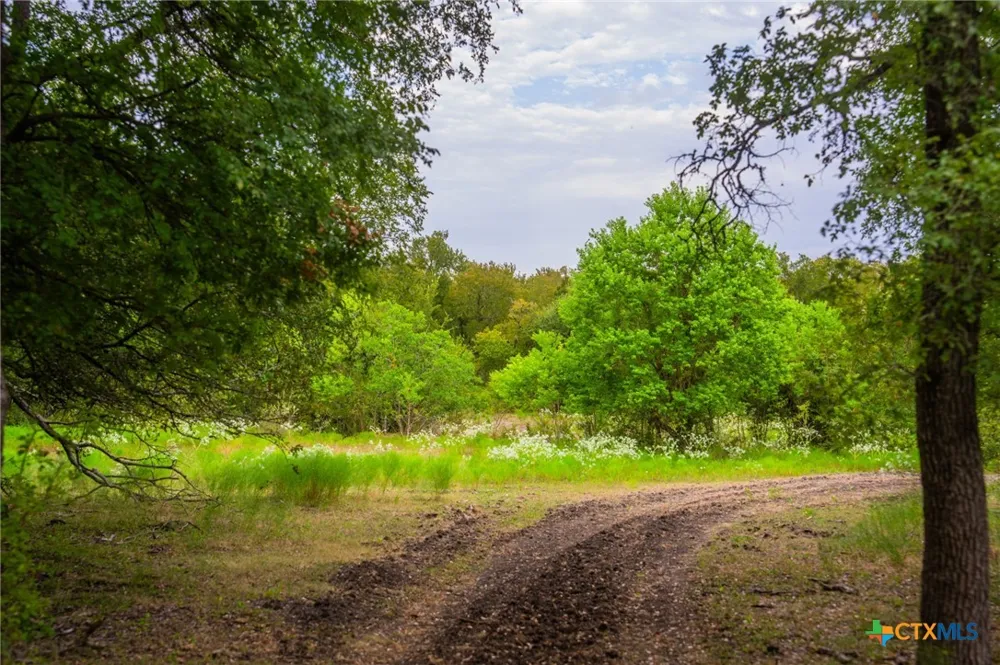 777 County Road 206 Cameron, TX 76520