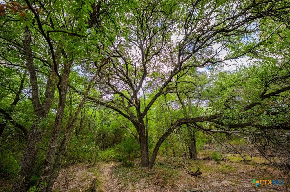 777 County Road 206 Cameron, TX 76520